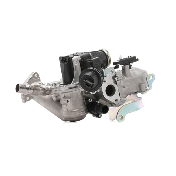 DELPHI EG10452-12B1 EGR klep