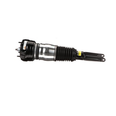 Arnott AS-3036 Air spring strut PORSCHE PANAMERA 2014 price