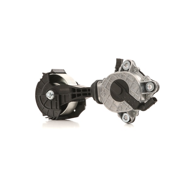 RIDEX Galet tendeur de courroie d'accessoire 541V0045