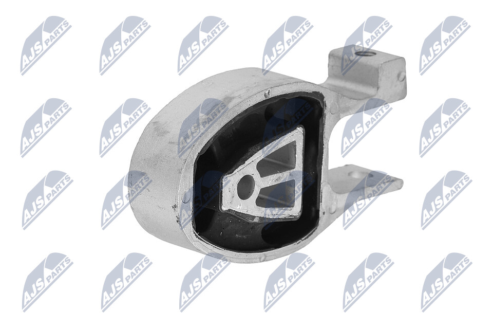 NTY ZPS-FR-010 Motorlager hinten, unten