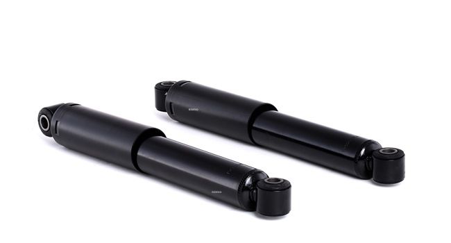 RIDEX Amortisseur 854S2213
