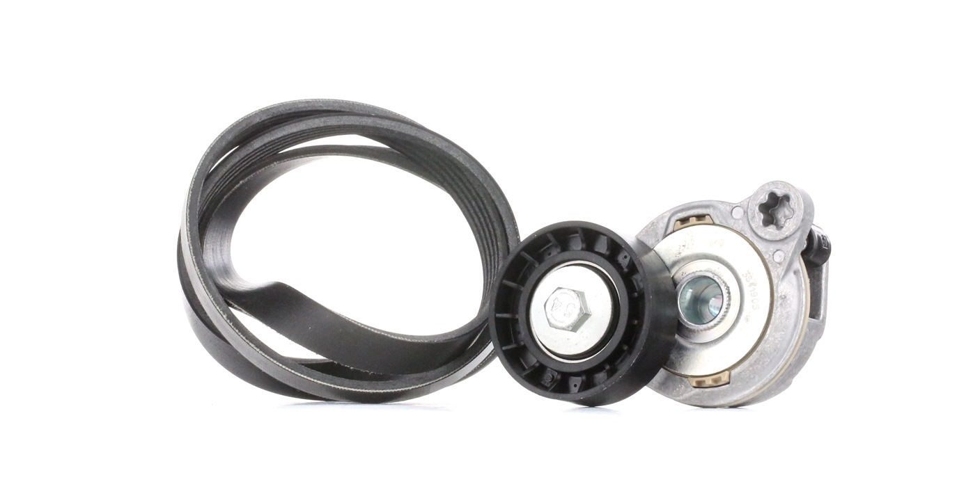 INA 529 0375 10 V-Ribbed Belt Set Check alternator freewheel clutch & replace if necessary