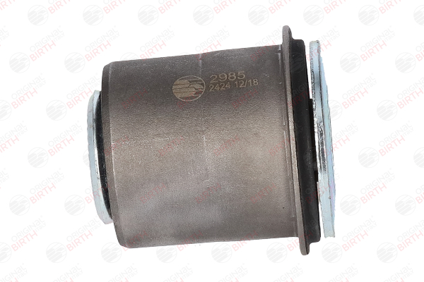 2985 Suspensão, braço oscilante BIRTH 4863260010 LEXUS