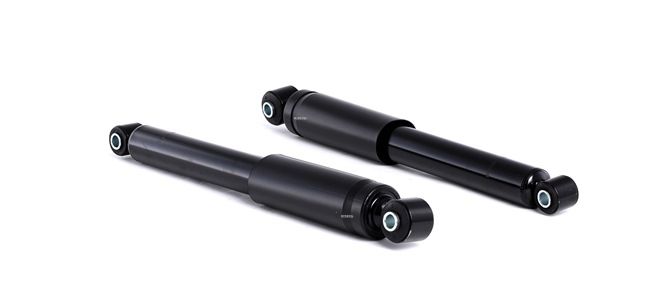 RIDEX Shock absorber 854S2277