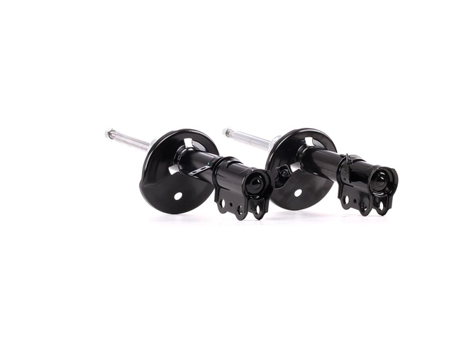 RIDEX Amortisseur 854S2296