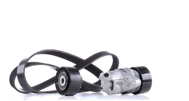 RIDEX Jeu de courroies trapézoïdales à nervures 542R0077