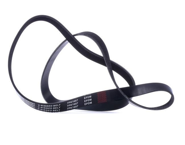 RIDEX Courroie Poly-V 305P0408