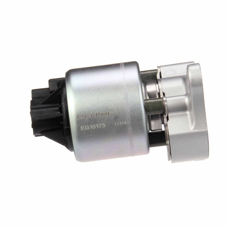 Pirkti EG10173 DELPHI ERG vožtuvas EG10173-11B1 nebrangu