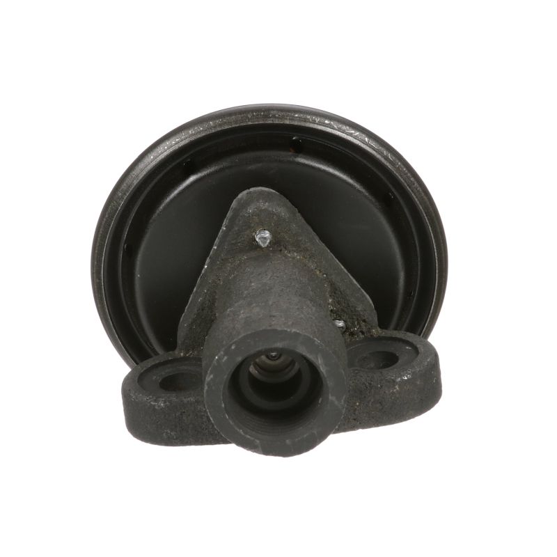 DELPHI EG10244-11B1 FORD USA TAURUS AGR Ventil kaufen