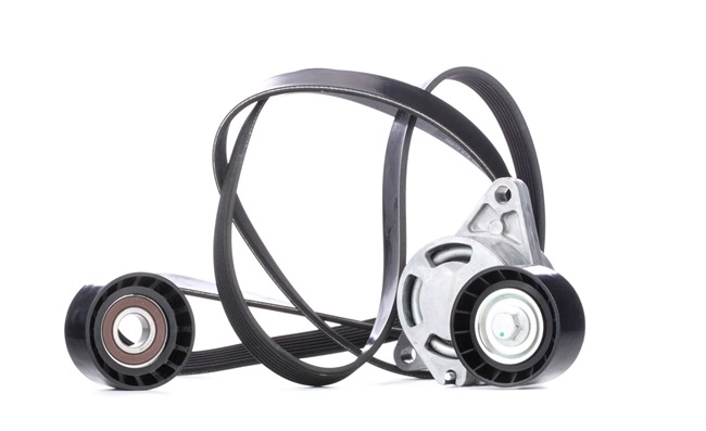 RIDEX Jeu de courroies trapézoïdales à nervures 542R0282
