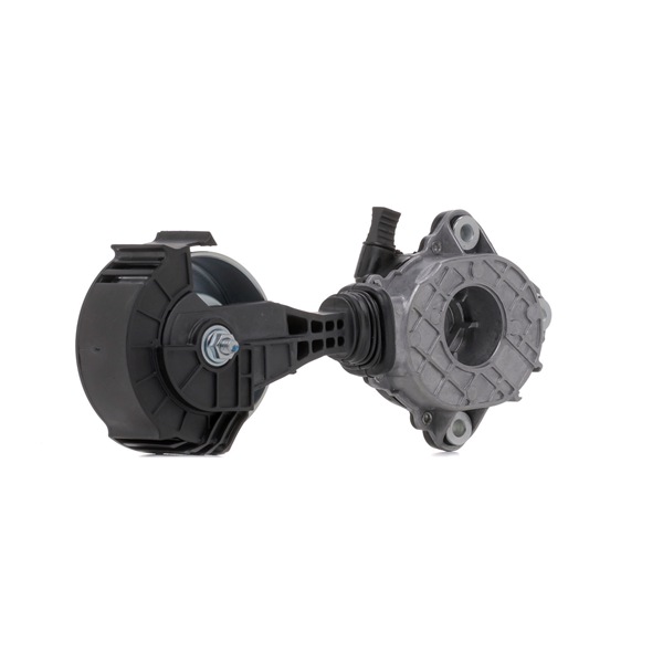 RIDEX Galet tendeur de courroie d'accessoire 541V0049