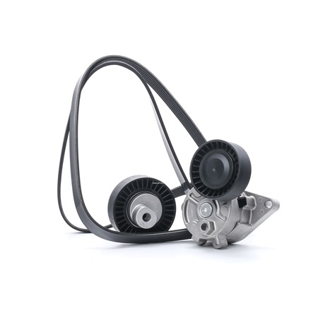 03L 903 137 AC BGA, CONTITECH V-Ribbed belt, V-Ribbed belt set cheap ...