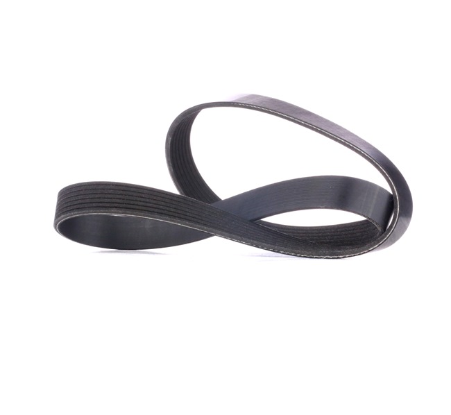 RIDEX Courroie Poly-V 305P0439