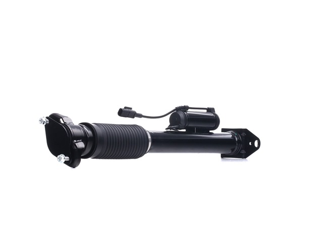 RIDEX Shock absorber 854S2387