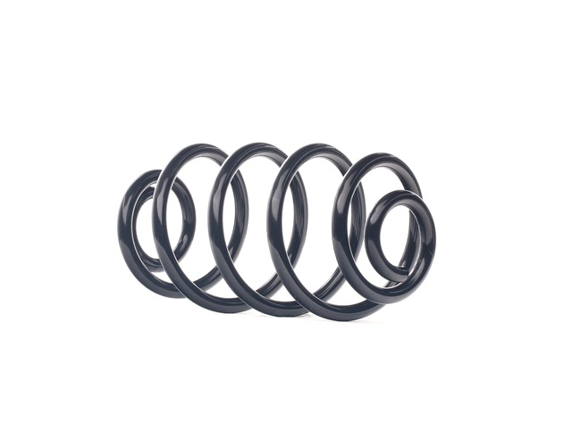 RIDEX Coil spring 188C0854