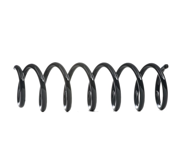 RIDEX Coil spring 188C0904