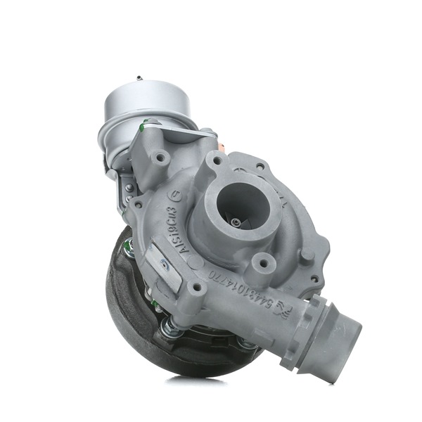 RIDEX REMAN Turbocharger 2234C0113R