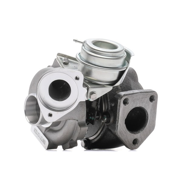 RIDEX Turbocharger 2234C0195