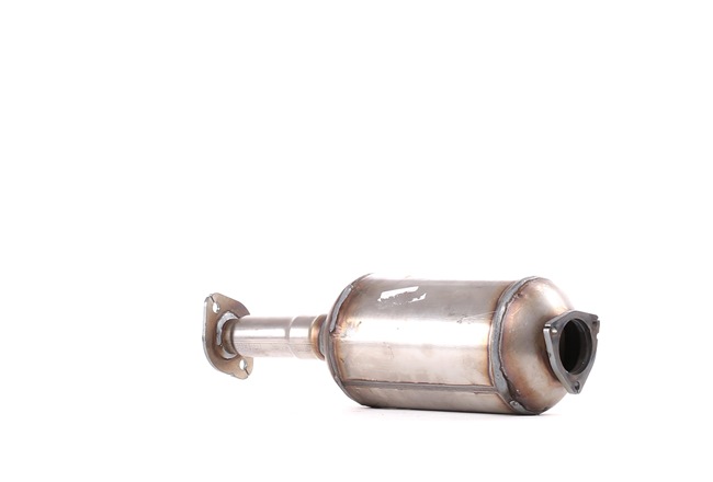 RIDEX Diesel particulate filter 1256S0050