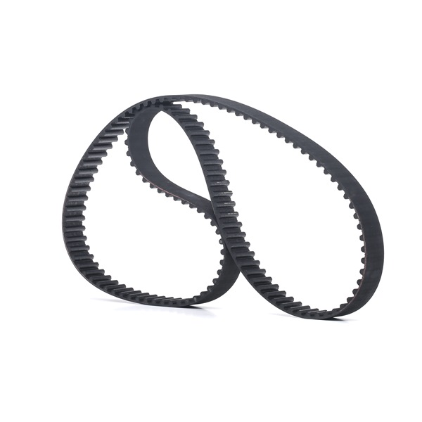 RIDEX 306T0262 Correia dentada