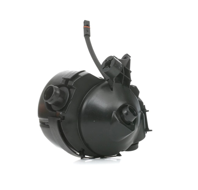 RIDEX Valve, engine block breather 3886V0034