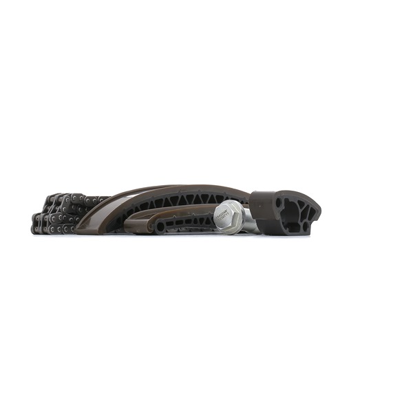 RIDEX Timing chain kit 1389T0121