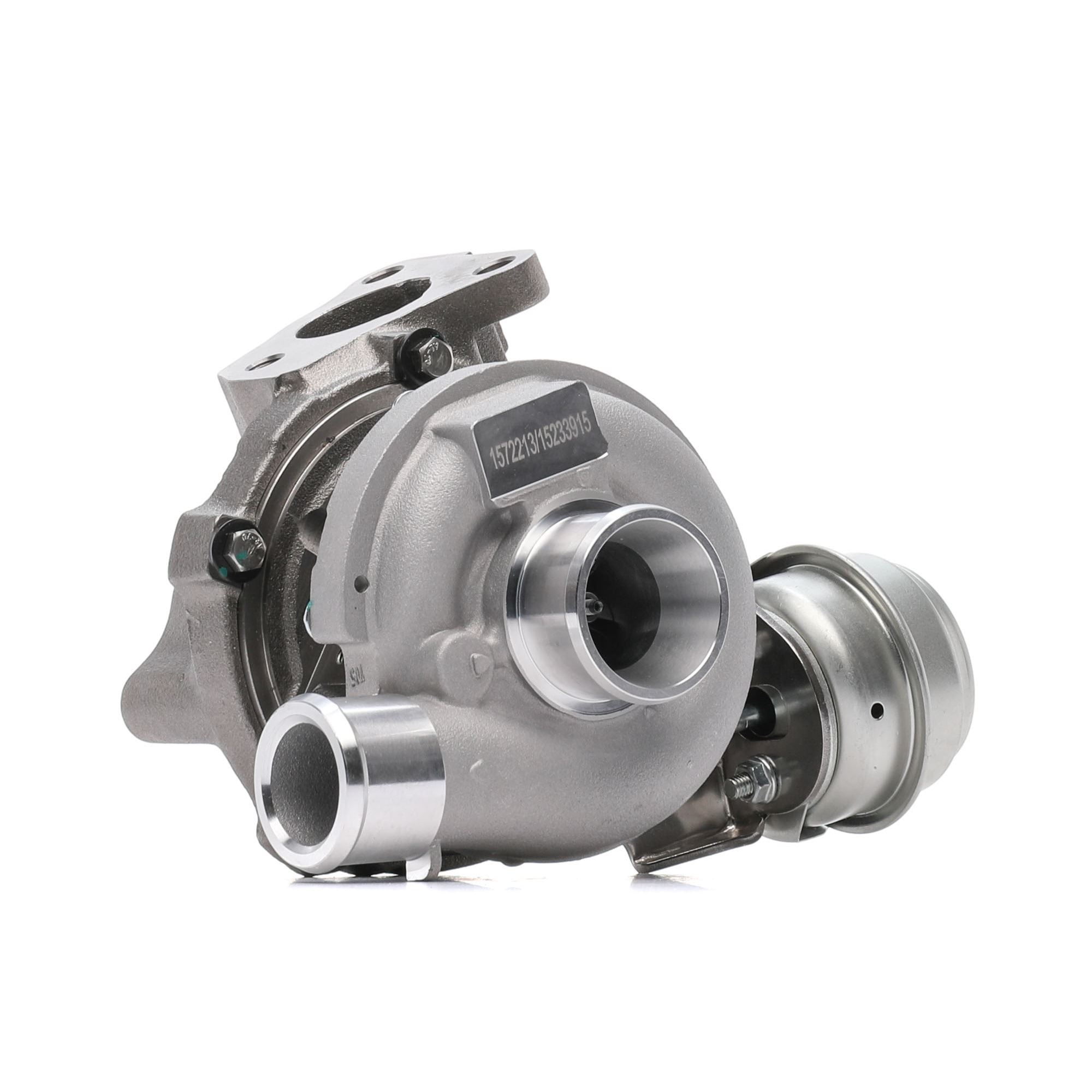 RIDEX 2234C0315 Turbocharger Turbo, without gaskets/seals, with attachment material
