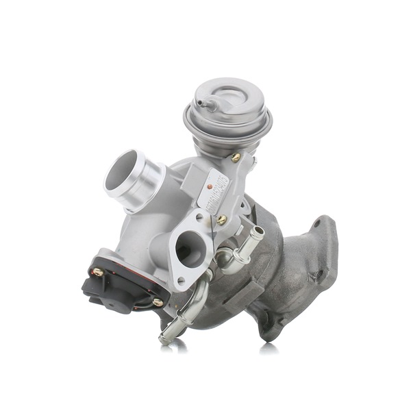 RIDEX Turbocharger 2234C0317
