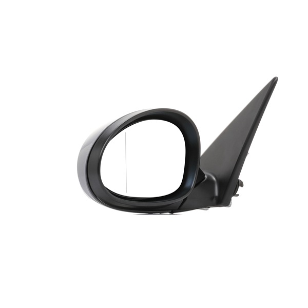 RIDEX Wing mirror 50O0534
