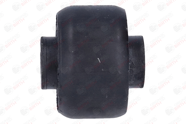 20010 Trailing arm / Suspension arm bush BIRTH DG9C3A053ANE FORD