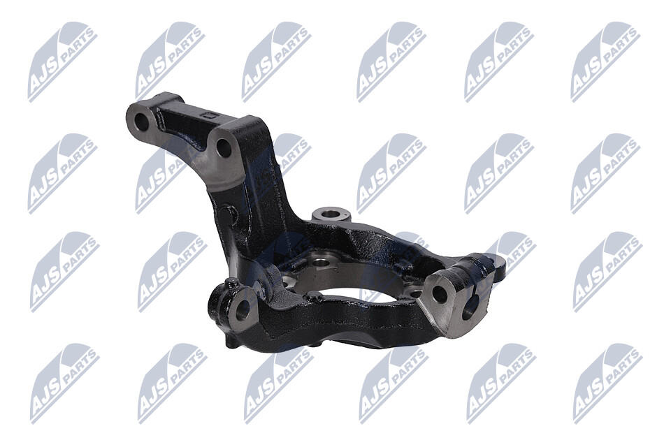 NTY ZZP-NS-004 pivote del muñón del eje Lotus EXCEL