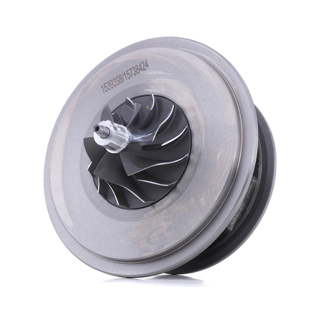 RIDEX Cartouche turbo 4973C0039