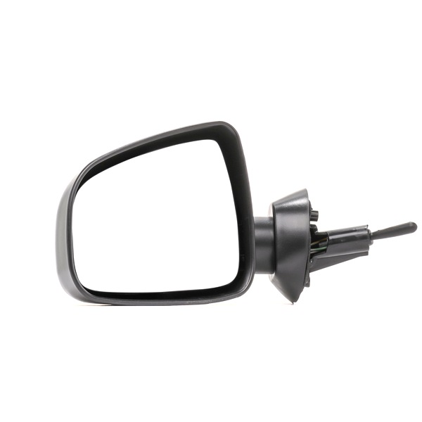 RIDEX 50O0658 Wing mirror