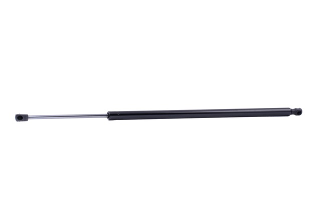 RIDEX Tailgate strut 219G0953