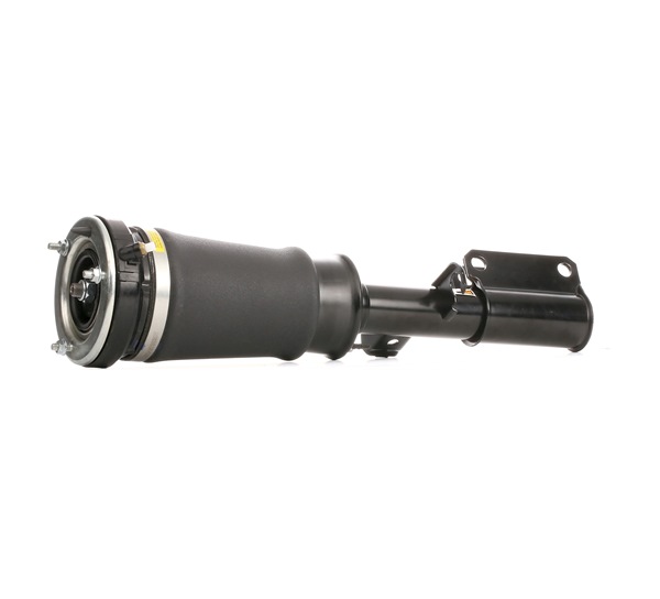 RIDEX Air suspension strut 4118A0052