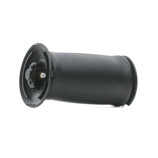 RIDEX Air Spring, suspension 4119A0044