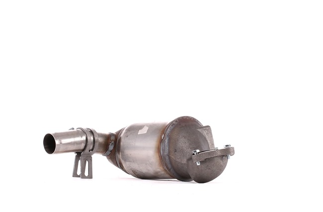 RIDEX 429C0538 Catalizador