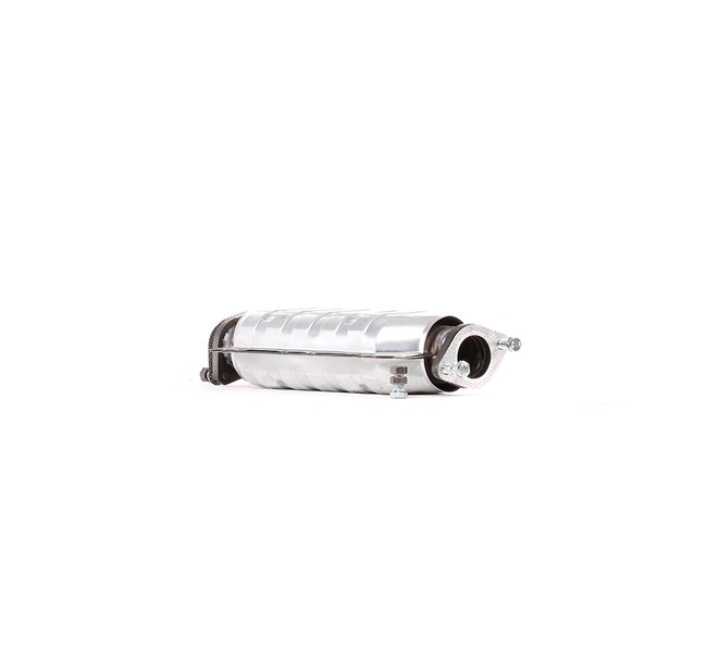 RIDEX 429C0602 Catalizador