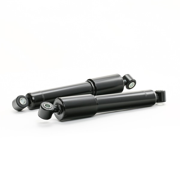 RIDEX Amortisseur 854S17796