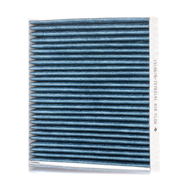 RIDEX 424I0524 Pollen filter