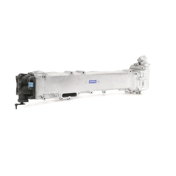 RIDEX REMAN 4198E0008R Module-EGR