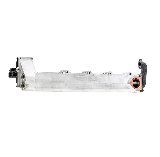 RIDEX REMAN 4198E0009R Module-EGR
