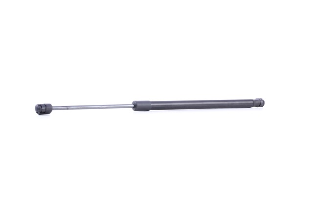 RIDEX Tailgate strut 219G0959