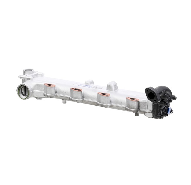 RIDEX REMAN 4198E0010R Module-EGR