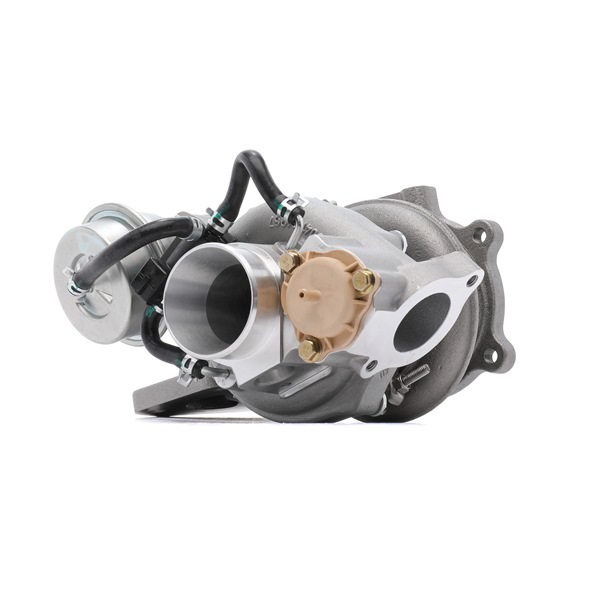 RIDEX Turbocharger 2234C10058