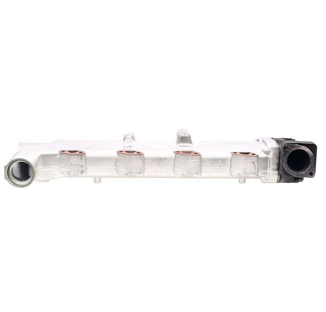 RIDEX REMAN 4198E0011R Module-EGR