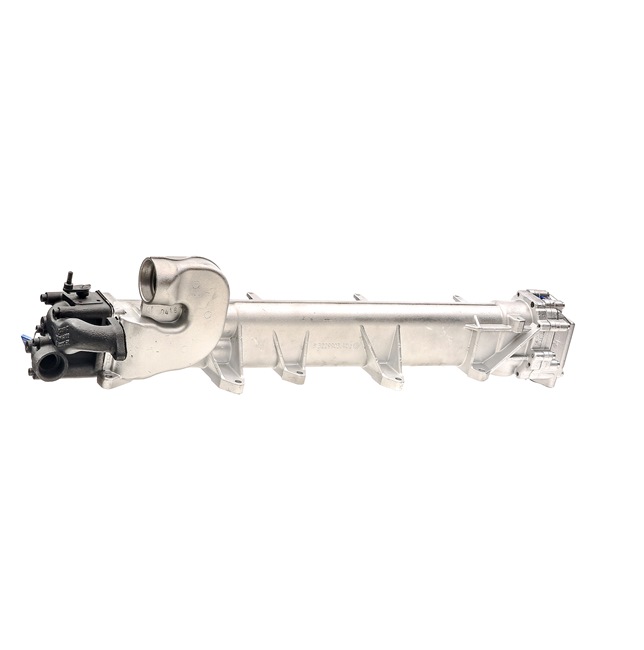RIDEX REMAN 4198E0013R Module-EGR