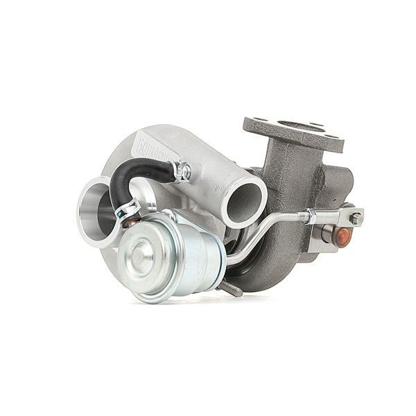 RIDEX Turbolader 2234C10081
