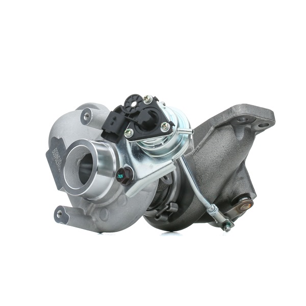RIDEX Turbocharger 2234C10087