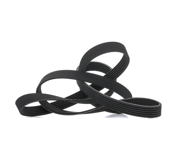 RIDEX 305P0475 Cinghia servizi